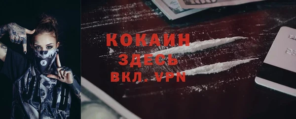 mix Инта
