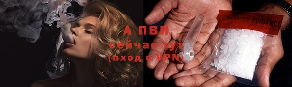 кокс Инсар