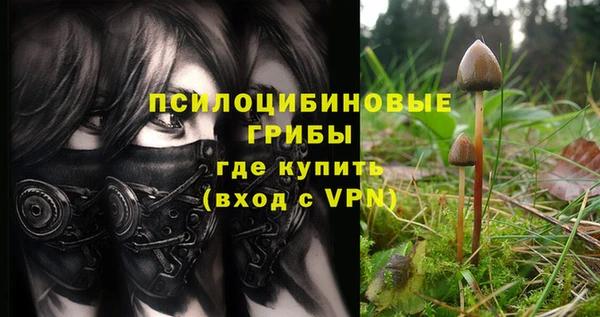 кокс Инсар
