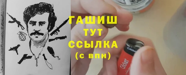 mix Инта