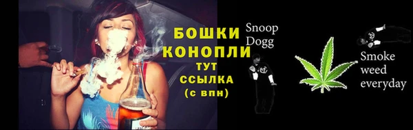 кокс Инсар