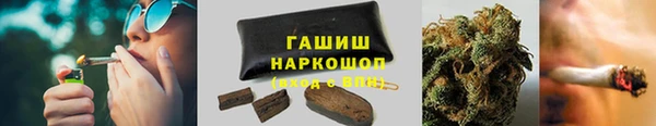 PSILOCYBIN Иннополис