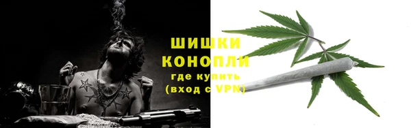mix Инта