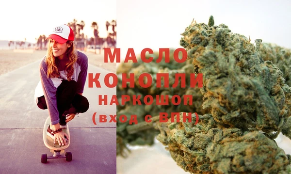 mix Инта