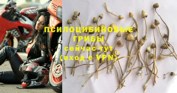 PSILOCYBIN Иннополис