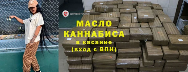 mix Инта