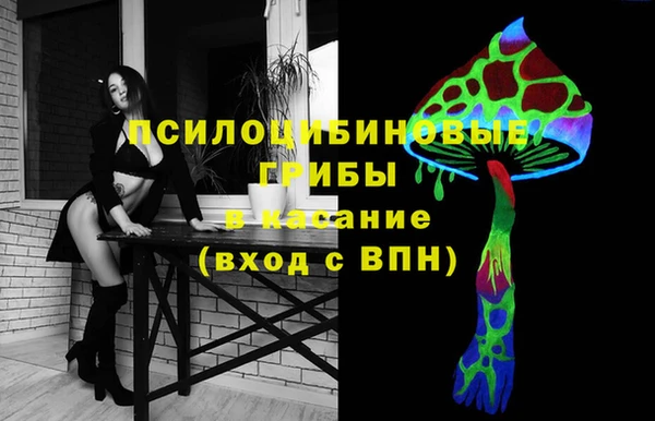 кокс Инсар