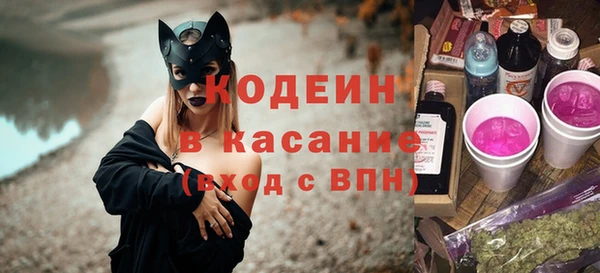 mix Инта
