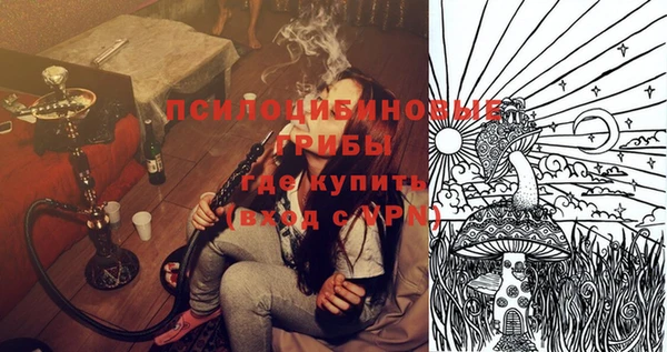 mix Инта