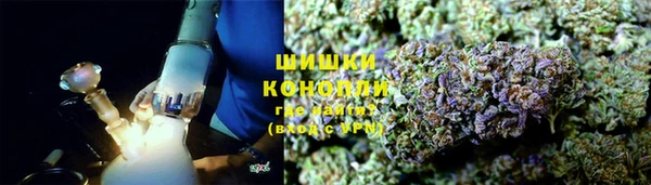 mix Инта