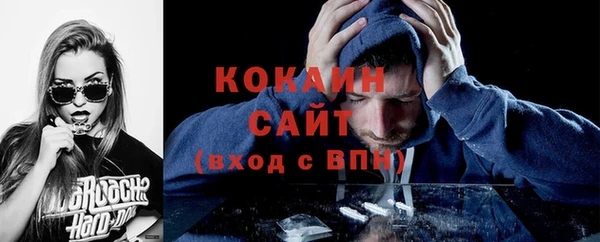кокс Инсар