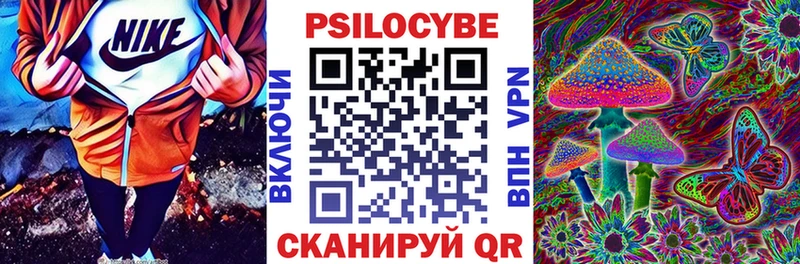 Псилоцибиновые грибы прущие грибы  Купить  Коммунар 